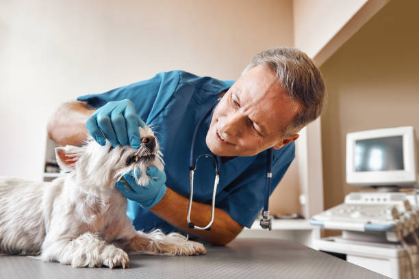 Best Emergency Tooth Extraction in Dale, IN