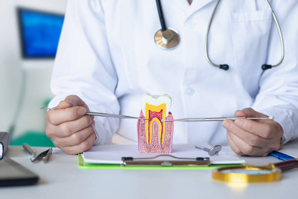Best Emergency Orthodontic Repairs in Dale, IN